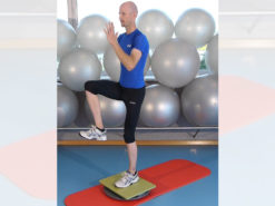 MFT Sport Disc Lauf-Training