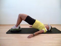 MFT Trim Disc Bridging Training